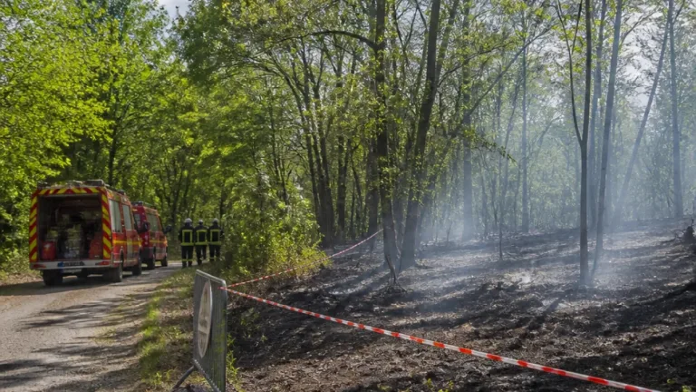 Incendie au Puy de Gaudy : un hectare brûlé près de Guéret, vingt pompiers mobilisés