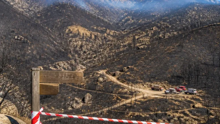 Incendie de la Restonica fixé après dix-huit jours, 1 083 hectares partis en fumée