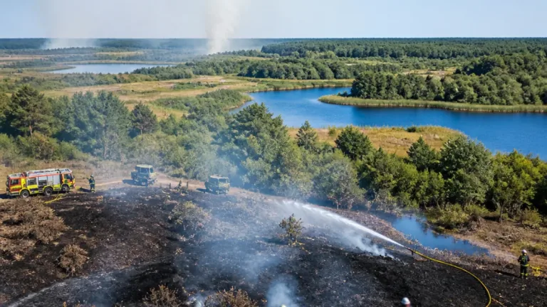 Incendie en Brenne : 900 hectares partis en fumée, la situation désormais « fixée »