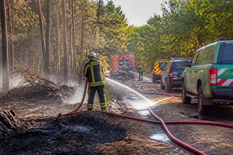 Incendie maîtrisé en forêt de Rennes à Liffré : 2 000 m² partis en fumée, 57 pompiers mobilisés