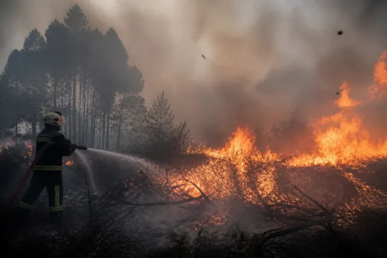 Incendies d’ampleur inédite dans l’Allier : 136 hectares partis en fumée en une journée