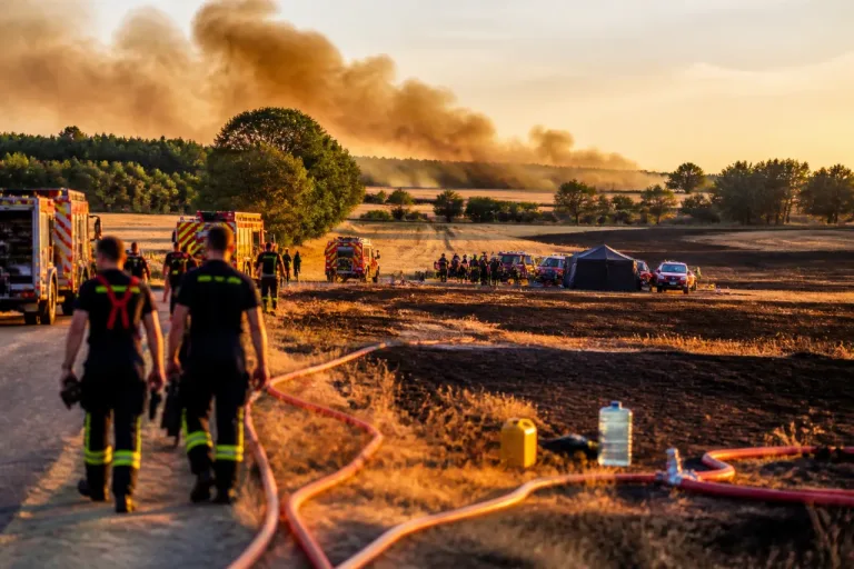 Incendies dans l'Indre : déjà plus de 1 500 hectares partis en fumée cet été