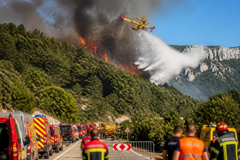 Incendies dans le Haut-Bugey : plus de 200 pompiers mobilisés pour contenir un feu à Nantua