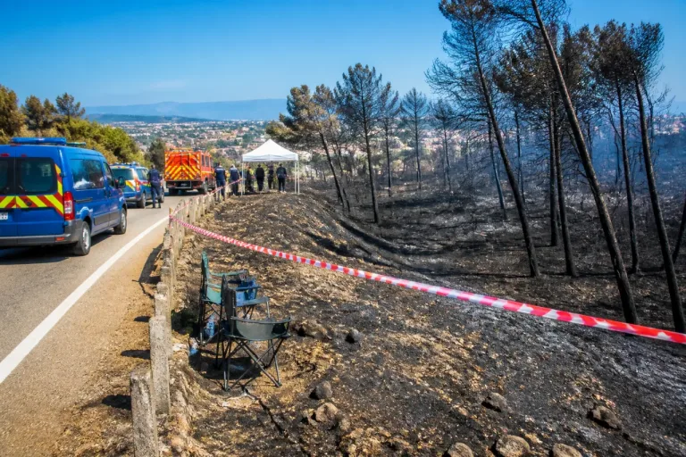 Incendies dans les Pyrénées‑Orientales : enquêtes ouvertes, pistes humaines et premières interpellations