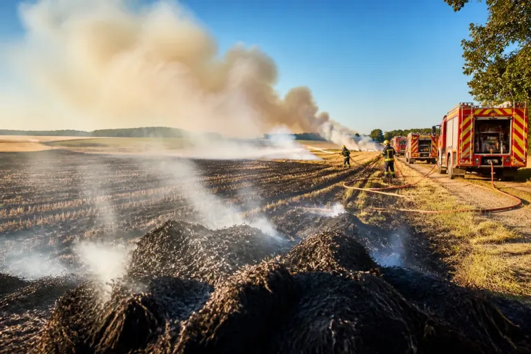 Incendies en Sarthe : plus de 5,5 hectares détruits, pompiers toujours mobilisés