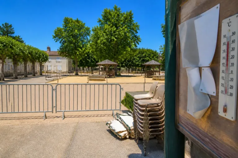 La 30e Fête de l’âne à Chauvé annulée face à la canicule