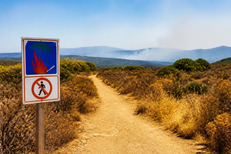 La préfecture appelle à la vigilance : risque d'incendie « très élevé » dans le sud du département