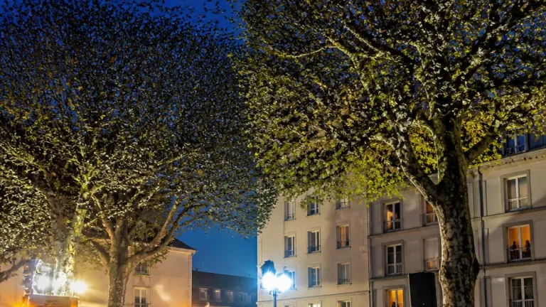La Roche-sur-Yon : trois nuits d’effarouchement pour chasser 50 000 étourneaux
