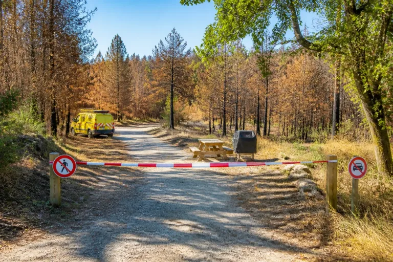 La Saône‑et‑Loire placée en vigilance sévère pour risque de feux : ce qui est interdit