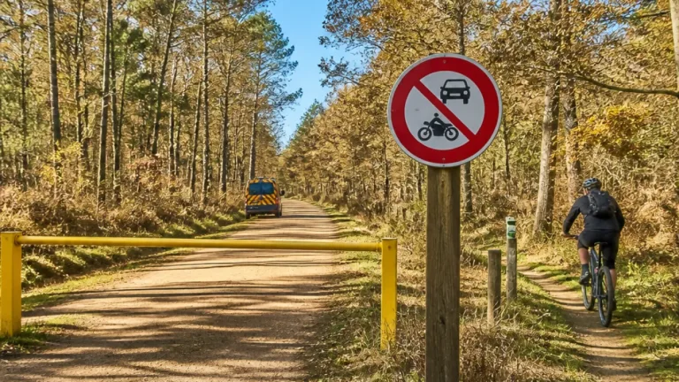 Le Loiret ferme à la circulation motorisée les routes forestières d’Orléans et Montargis