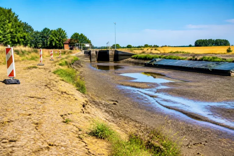 Le Nord placé en alerte sécheresse : restrictions immédiates pour une grande partie du département