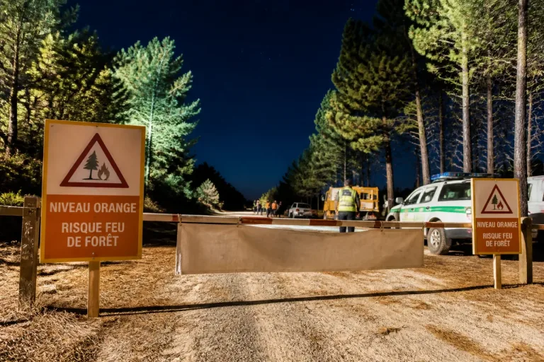 Les Landes placées au niveau orange feu de forêt : restrictions et consignes à connaître