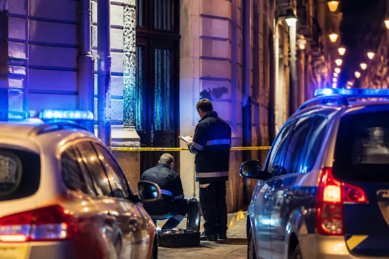 Lille : un jeune de 19 ans interpellé, soupçonné de plusieurs viols et tentatives
