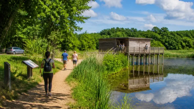 Lussat : la Réserve naturelle de l’Étang des Landes propose des sorties gratuites les 8 et 18 août
