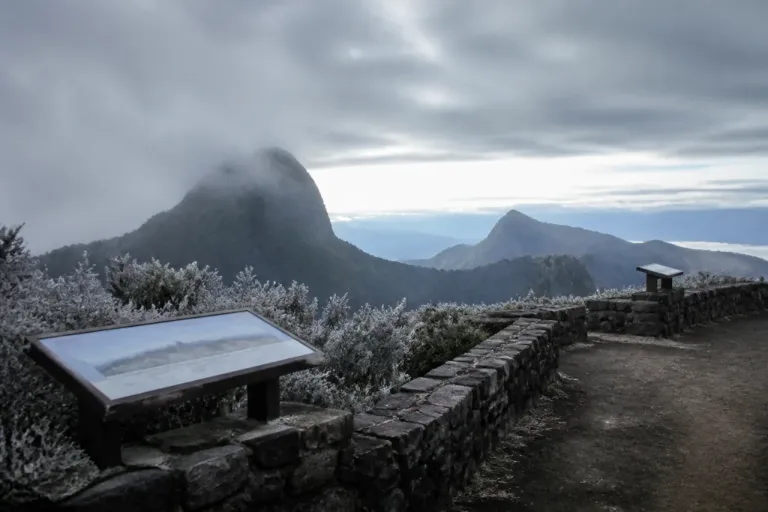 Maïdo frôle le zéro : matin glacial, ciel voilé au Nord cet après-midi