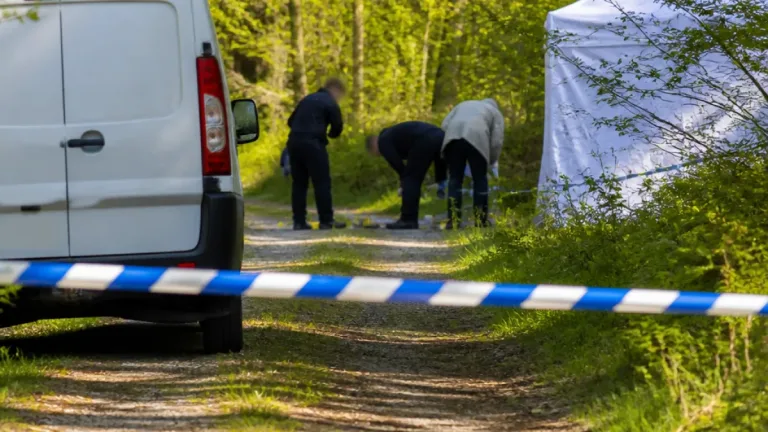 Mailhoc : l’ADN confirme que les ossements retrouvés sont ceux de Delphine Jubillar