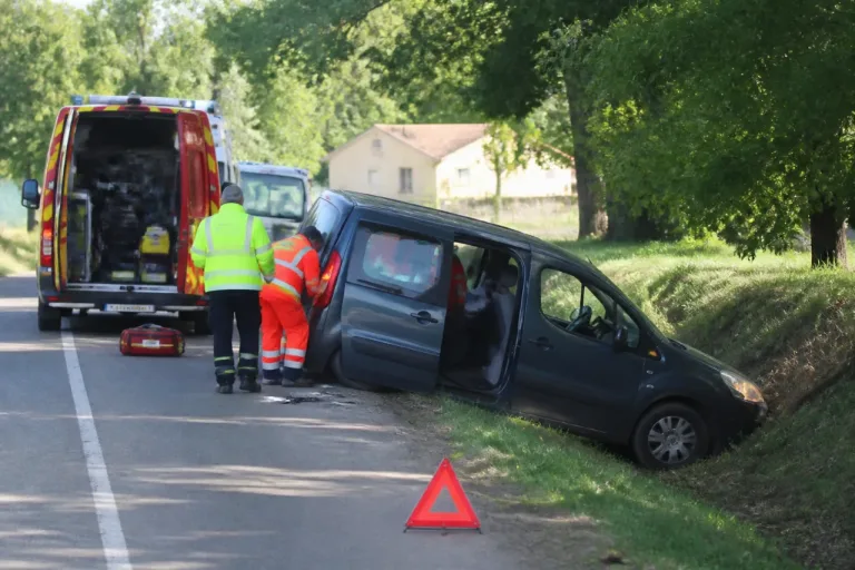 Malrevers : une guêpe provoque une sortie de route, une mère et un enfant hospitalisés