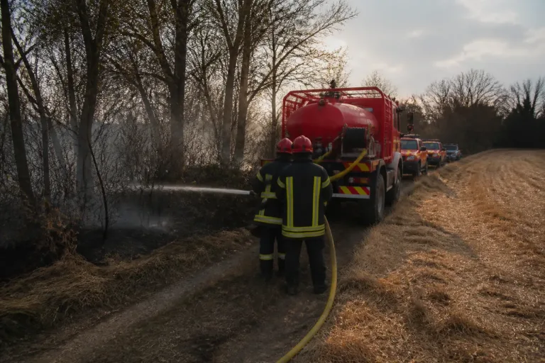 Maulévrier: sept hectares touchés par un feu maîtrisé après une large mobilisation