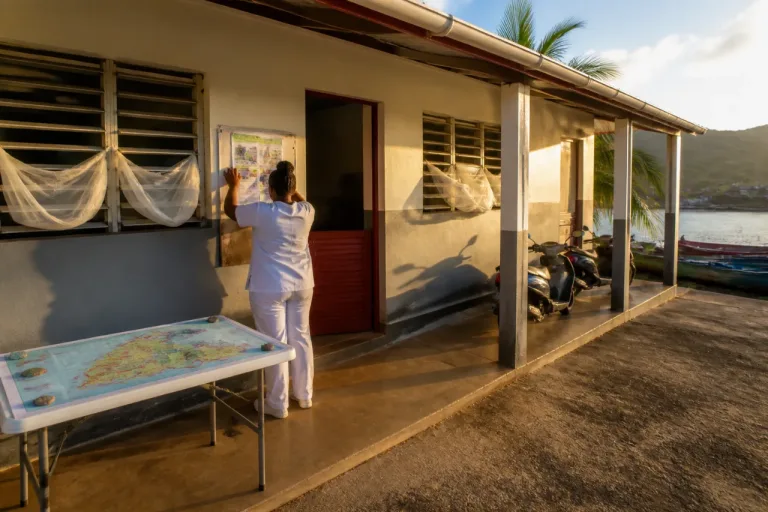 Mayotte : le paludisme réapparaît, 244 cas déclarés depuis janvier et foyers au sud