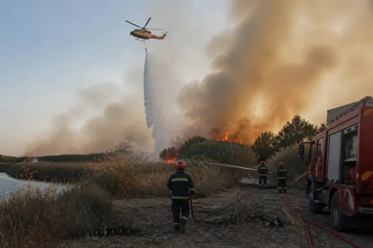Montfrin : feu de végétation en cours, plus de 3 hectares touchés le long du Gardon