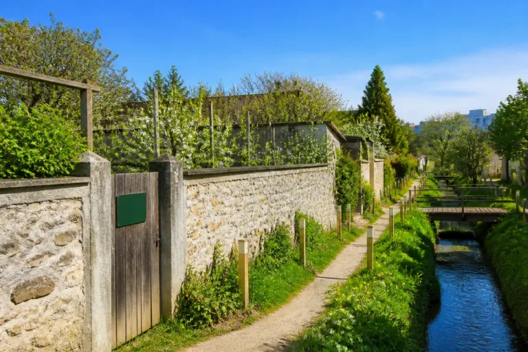 Montreuil reprend la main sur les Murs à pêches avec une nouvelle vague d’acquisitions