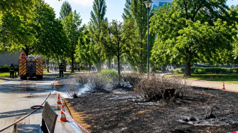 Nanterre : un homme interpellé après un feu volontaire au parc André Malraux