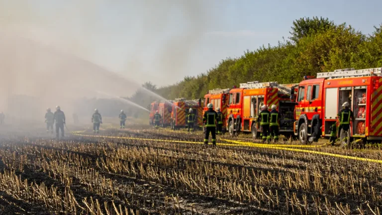Neuf hectares brûlés à Auvers‑le‑Hamon : sept engins et 18 pompiers mobilisés