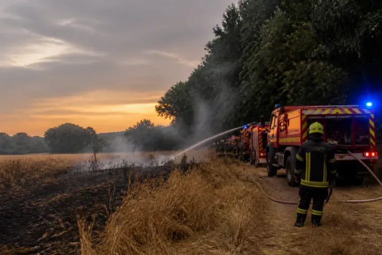 Nord-Loire-Atlantique : deux feux de culture mobilisent plus de 80 pompiers