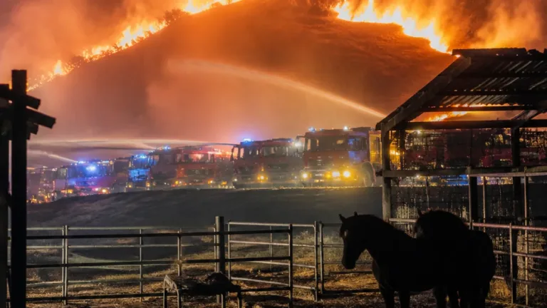 Nuit d'alerte en Haute-Vienne : près de 30 hectares partis en fumée, quatre chevaux décèdent