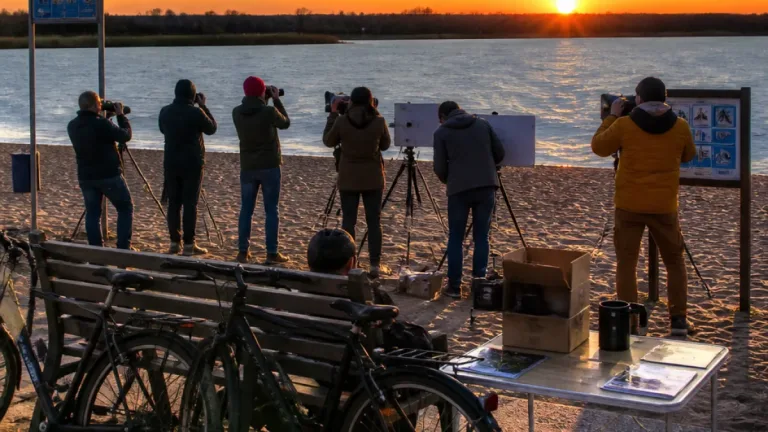 Où observer l’éclipse partielle du 12 août dans l’Indre et ses conseils pratiques