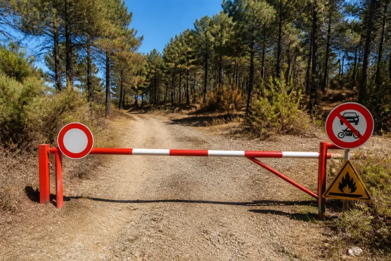 Palanges: accès motorisé interdit tout l’été pour limiter le risque d’incendie
