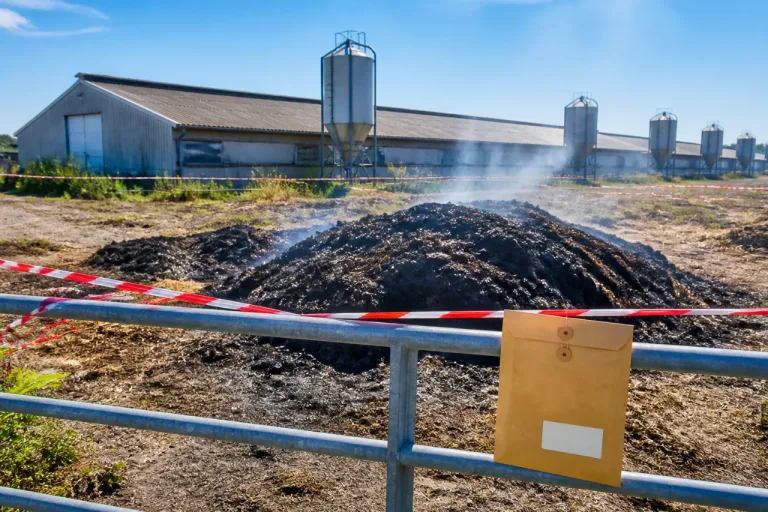 Pamproux : l’État met en demeure un élevage industriel après un feu de fientes
