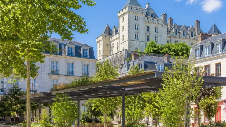 Pau installe des ombrières et renforce les dispositifs anti-canicule au centre-ville