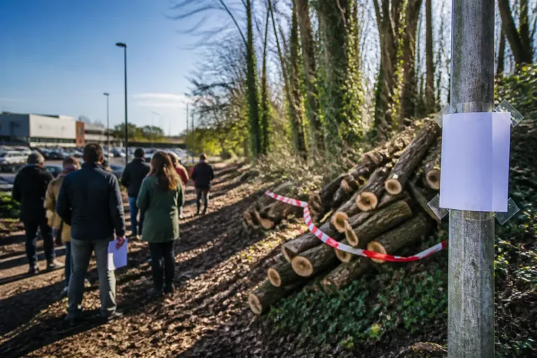 Périgueux : des riverains prêts à saisir la justice pour protéger un espace boisé classé