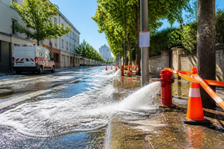Pic de manganèse : à La Roche‑sur‑Yon, Vendée Eau ouvre des bornes pour purger le réseau
