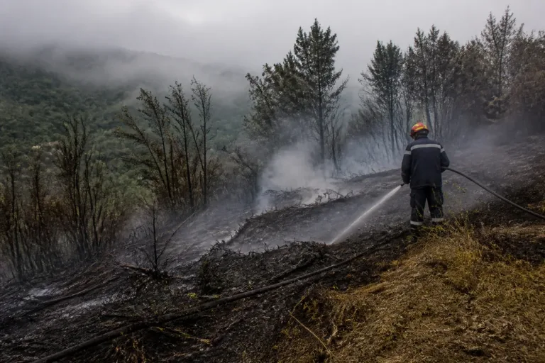 Planay : feu de forêt maîtrisé après des orages, la préfecture renforce les consignes