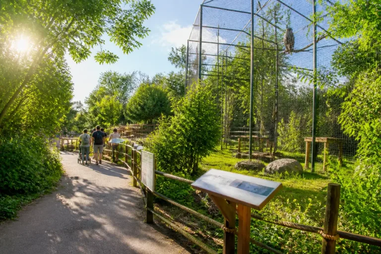 Plus de vingt naissances au zoo d’Amnéville au premier semestre, un signe fort pour la conservation