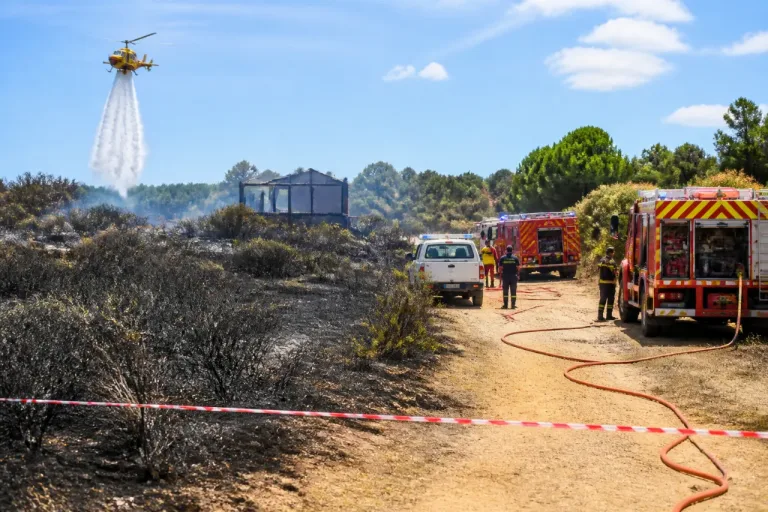 Plusieurs départs de feu en Vaucluse : plus de 2 000 m² de broussailles touchés, interventions importantes