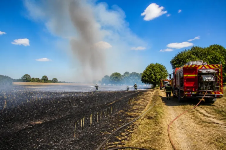 Plusieurs incendies en Sarthe : 2,5 ha de récoltes brûlés, une quarantaine de pompiers mobilisés