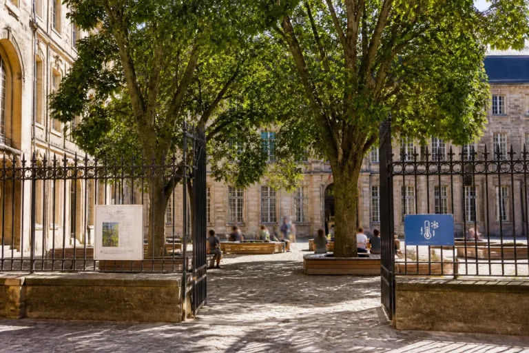 Poitiers : la cour du collège Henri IV transformée en îlot de fraîcheur accessible