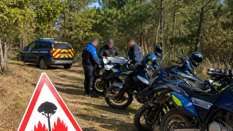 Préfecture et gendarmerie mobilisées dans le Morbihan contre le risque d'incendie en forêt