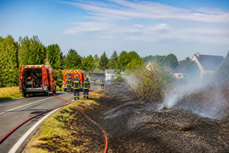 Près de 200 incendies d'espaces naturels en juin : les pompiers du 49 tirent la sonnette d'alarme