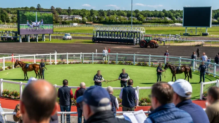 Prix de Cherbourg-en-Cotentin : les partants et leurs récentes performances avant la Course 6 à Cabourg