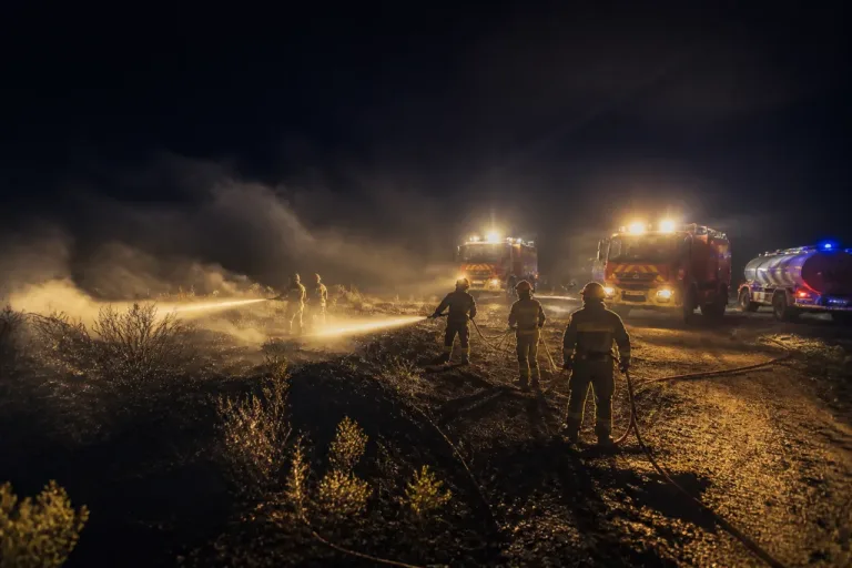 Puimoisson : feu de végétation maîtrisé dans la soirée, extinction confirmée dans la nuit