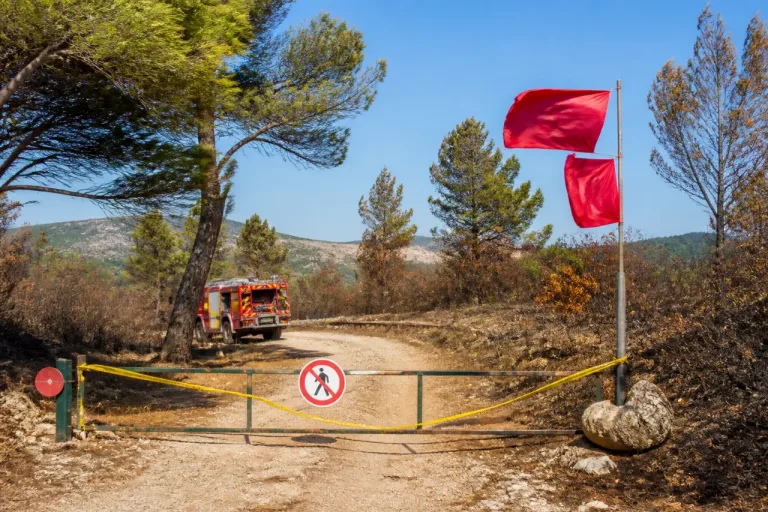 Quatre massifs des Bouches‑du‑Rhône en risque « extrême » : fermetures et interdictions dimanche 5 juillet
