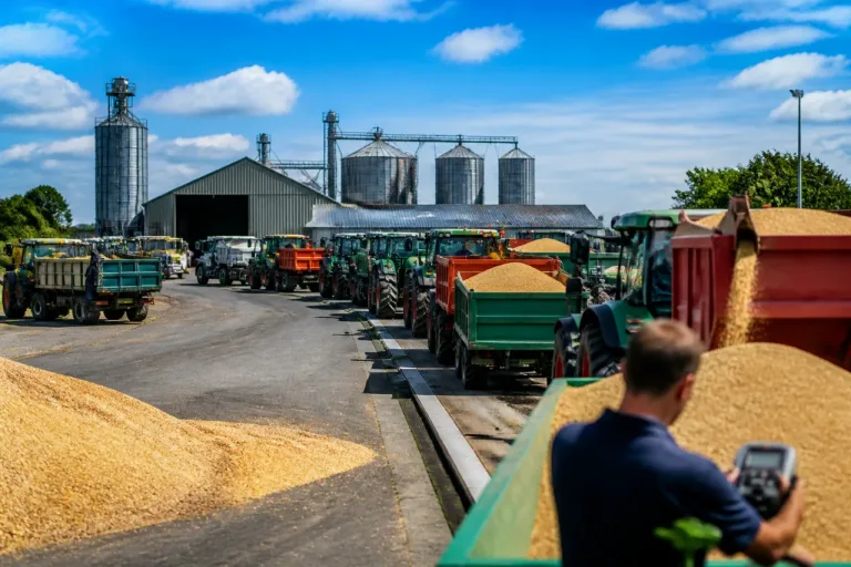 Récoltes 2026 : la moisson a démarré, la coopérative d’Hanvec gère 4 000 tonnes par an