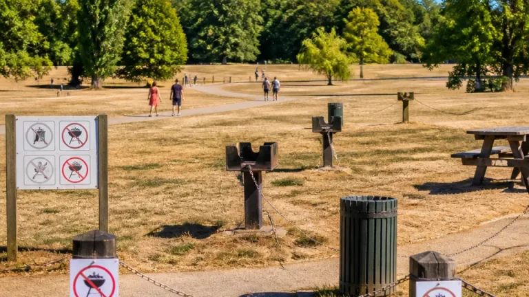 Rennes : plusieurs communes interdisent les barbecues sur leurs espaces publics en raison de la sécheresse