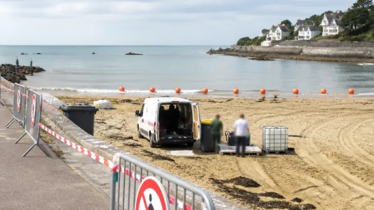 Saint-Brieuc : baignade interdite à Binic et mesures pour protéger les phoques de la baie