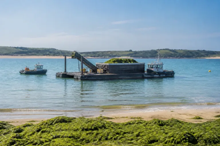 Saint-Brieuc : la barge ramasseuse d’algues reprend les essais dans la baie cet été