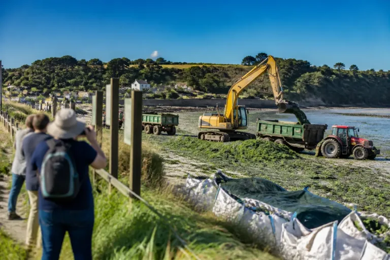 Saint-Michel-en‑Grève : moins d'algues vertes mais le quotidien des riverains reste lourd